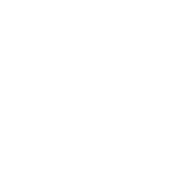 字體大小